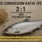 Apa Itu FCR Pakan Budidaya Bandeng? Feed Convertion Ratio