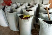 Ide Bisnis Kohe Sapi Menjadi Pupuk Organik Tambak