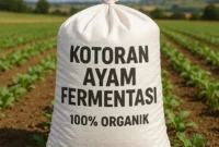 Apa itu Rasio C/N Dalam Pupuk Organik? Berapa Idealnya?